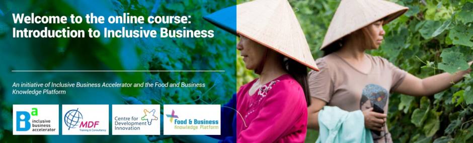 Online course - Introduction into Inclusive Business